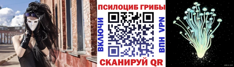 Псилоцибиновые грибы GOLDEN TEACHER  Касимов 